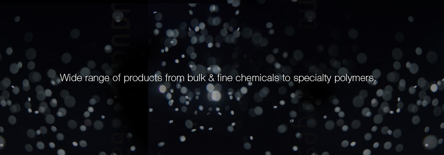 Wide range of products from bulk & fine chemicals to specialty polymers.