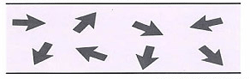 【图-2】分散方向分极(传统不织布)