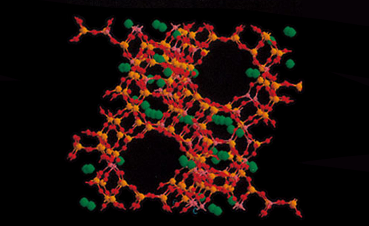 High-Functional Catalysts