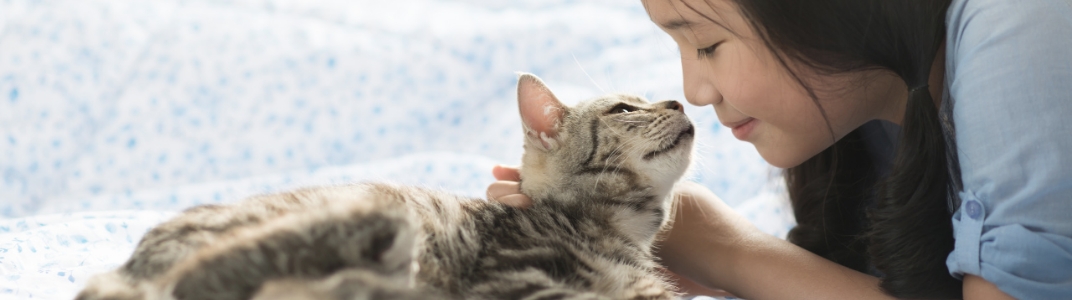 東レの動物用医薬品