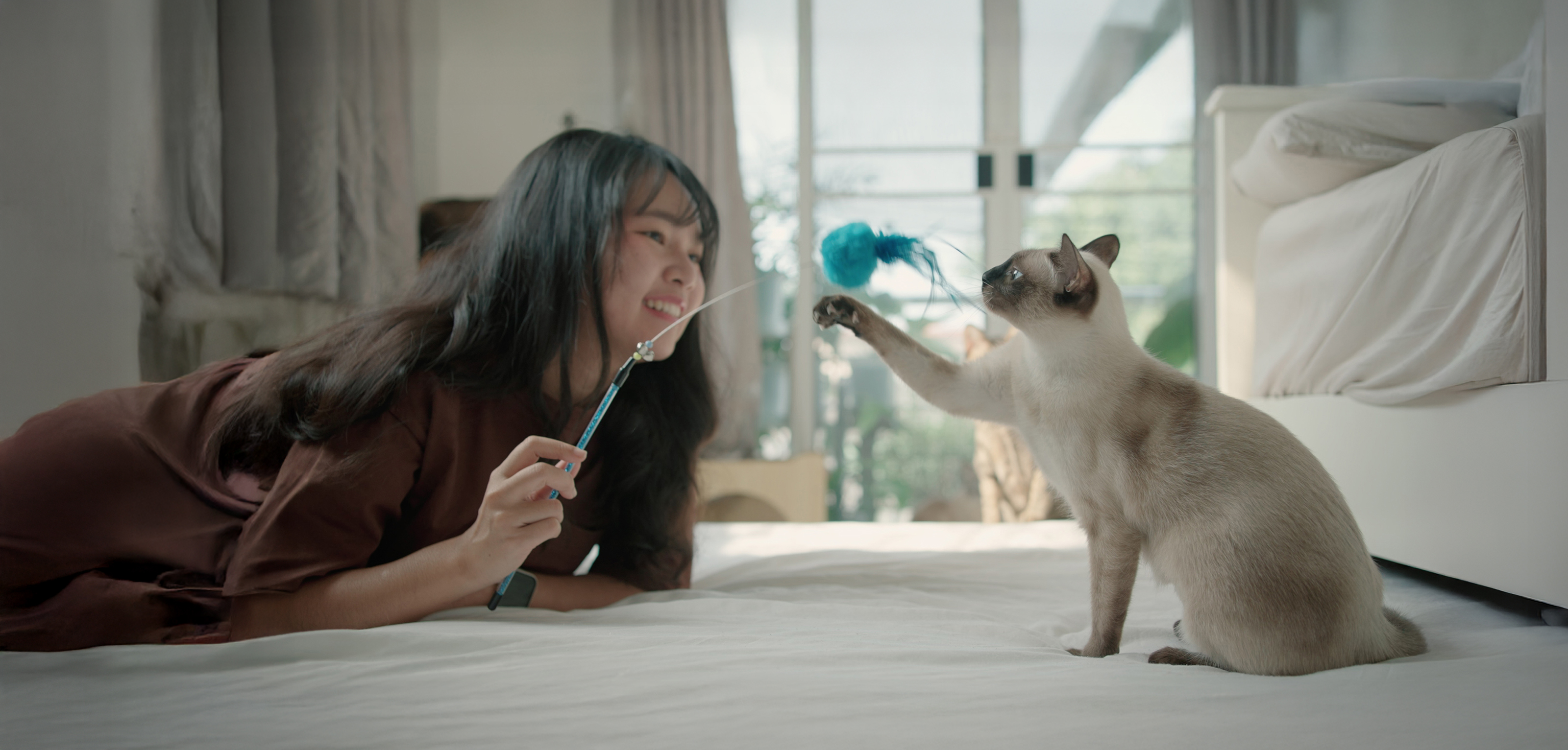 東レのケミカル製品 - Animal health products